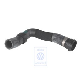VW Originale Fless. Liq. Raffr. 