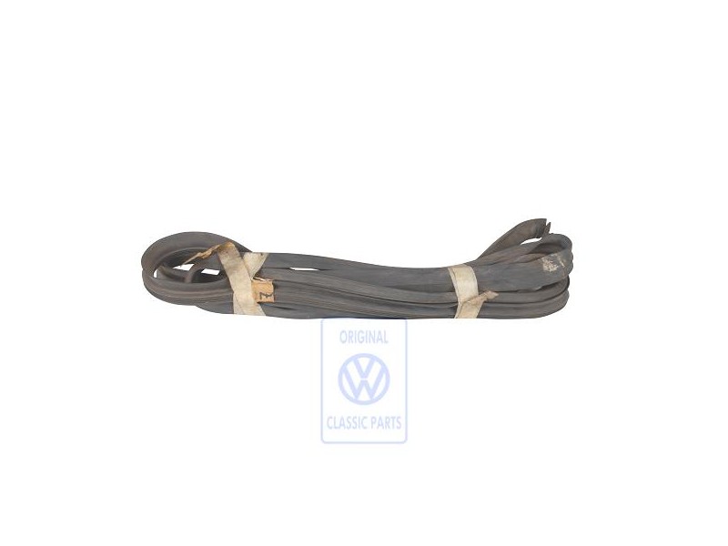 VW Originale Guarnizione Porta - 421837911