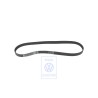 VW Originale Cinghia Trapezoidale A Nerv. 
