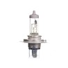 VW Originale Lampadina Alogena - N 0177704