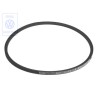 VW Originale Cinghia Trapezoidale - 111903137E