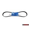 SKF Cinghia Poly-V - VKMV 6PK1153