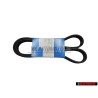 SKF Cinghia Poly-V - VKMV 7DK1360