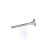 VW Originale Valvola Di Scarico - 069109611