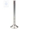 VW Originale Valvola Di Aspirazione - 049109601A