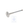 VW Originale Valvola Di Scarico - 058109611M