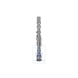 VW Originale Albero A Camme - 03C109101AA