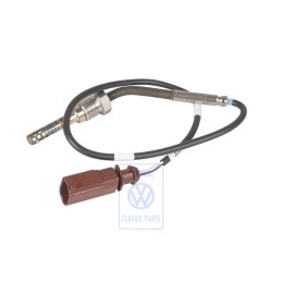 VW Originale Trasd. Di Temp. 