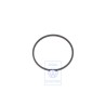 VW Originale Anello Raschiaolio - 022107371A