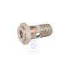 VW Originale Vite A Sezione Cava Con Filtro - 035133505