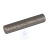 VW Originale Parte Scaduta - 113309521A