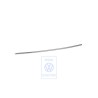 VW Originale Modanatura Per Fiancata - 113853525B
