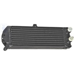 VW Originale Radiatore Olio - 183117021