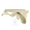 VW Originale Passaruota - 1EM809103