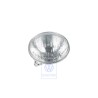 VW Originale Inserto Faro (Alogeno) - 1GM941105