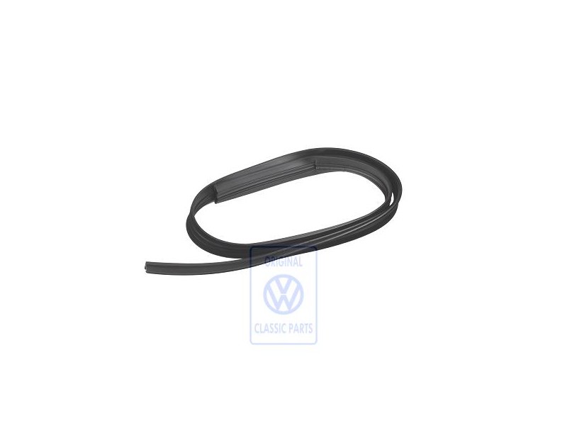 VW Originale Profilato Guida - 253847613A
